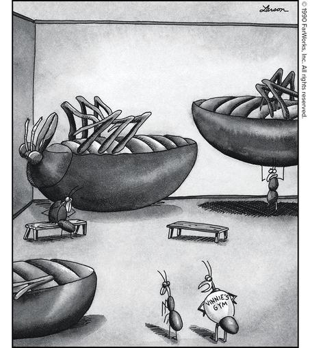 “Now this is our dead beetle room, and some of these babies are 50 times an ant’s body weight. … ’Course, we’ll want to start you out on dried ladybugs.”