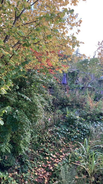 Herbstgarten