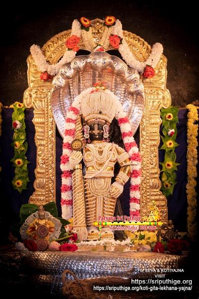 Idol of Hindu deity Krishna in pearl "chain mail" (gold undergirding) with matching dome-shaped crown, holding a similarly clad staff in right hand. The head of a 7-headed silver serpent over Krishna's head as if an umbrella. A gold arch behind the serpent's head. Not clearly/fully visible but the coiled body of the serpent forms the perch on which Krishna stands. A string of white and red bands of flowers around Krishna floor-floor. Loose white flowers at Krishna's feet. A string of white flowers hooks from the left top of the arch to the middle; likewise on the arch's right. Dark blue background. A string of green betel leaves (yellow flowers on leaves) hangs down at each end of the background.