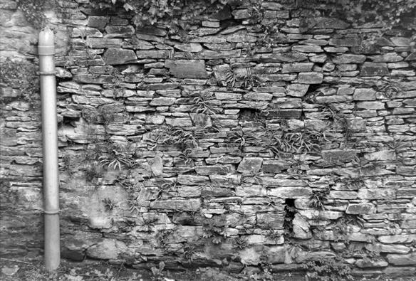un pus en pierre, avec une descente d'eau pluviale sur la gauche