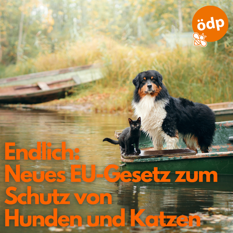 Ein Hund und eine Katze auf einem Boot 
