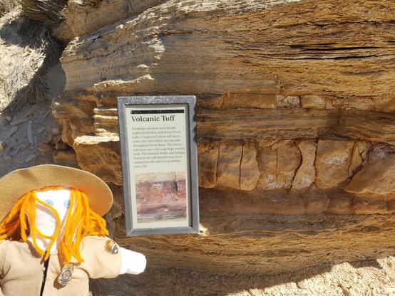 Ranger Sarah learns about Volcanic Tuff that can be found in the area. Here a thicker section of Tuff can be seen, which lines up with the picture, it is just below the layer of rock with vertical cracks.
— at Fossil Butte National Monument.
