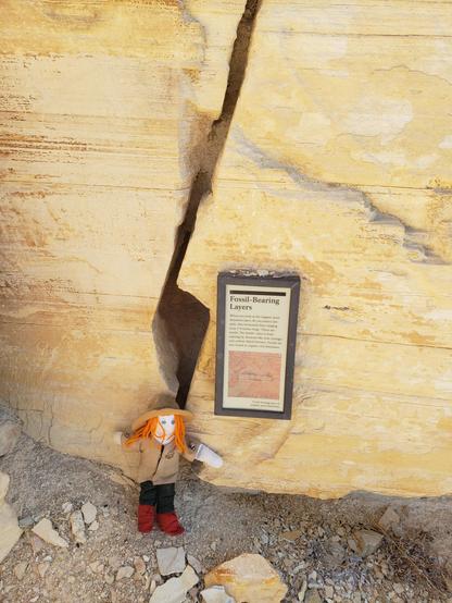 Ranger Sarah learns that any dark thin horizontal lines 2-8 inches long in the limestone are fossils.
— at Fossil Butte National Monument.
