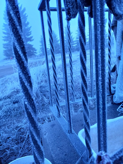 Close-up of wrought-iron railing, with the corners of the iron all covered with frost.  It looks very cool on the pieces that are twisted, as the frost traces out a nice spiral pattern.