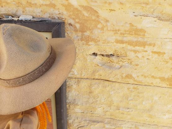 Ranger Sarah looks at the thin dark line in the limestone which is a fish fossil.
— at Fossil Butte National Monument.
