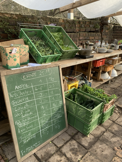 Tafel mit Erntemengen und Kästen mit Gemüse