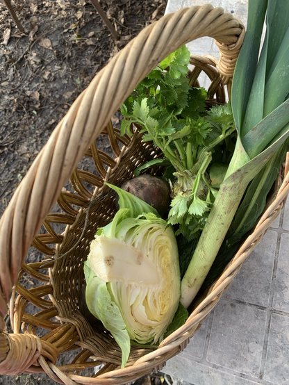 Korb voll Wintergemüse