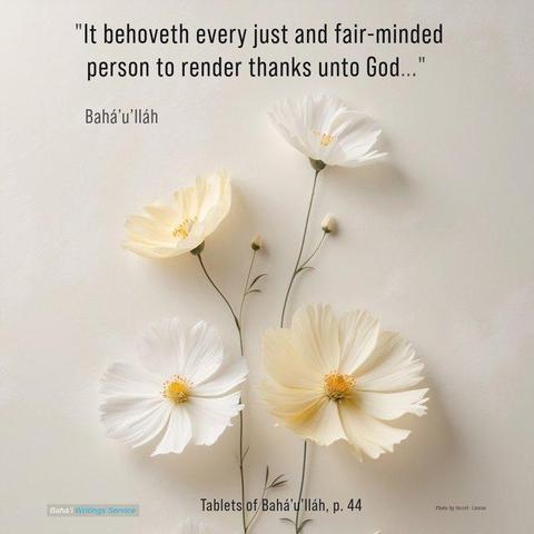 Concierne a toda persona justa y de mente imparcial dar gracias a Dios -exaltada sea su gloria- y levantarse a promover esta preclara Causa, para que el fuego se transforme en luz y el odio dé paso a la camaradería y al amor.

Bahá'u'lláh