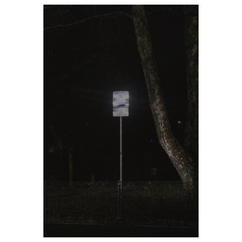 Ein einsames Schild in der Nacht. Das es ein Schild ist, welches ein Parkplatz ausweist kann man nur erahnen. Durch eine Lichtreflexion leuchtet es silbern-weiß. Schräg neben dem mittig im Foto positionierten Schild steht eine Birke. Ihr Stamm glänzt ebenfalls matt vor dem dunklen Hintergrund. 
