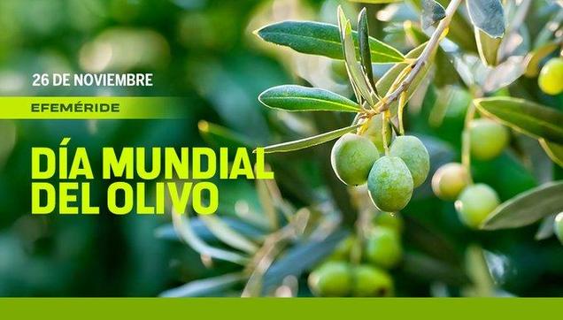 @UNAM_MX

#UnDíaComoHoy se celebra el Día Mundial del Olivo 🌿, símbolo de paz, sabiduría y armonía 🕊️.

Más allá de su significado cultural, ¿cuál es su importancia medicinal?

Dale clic al enlace > https://bit.ly/4ij1bHL