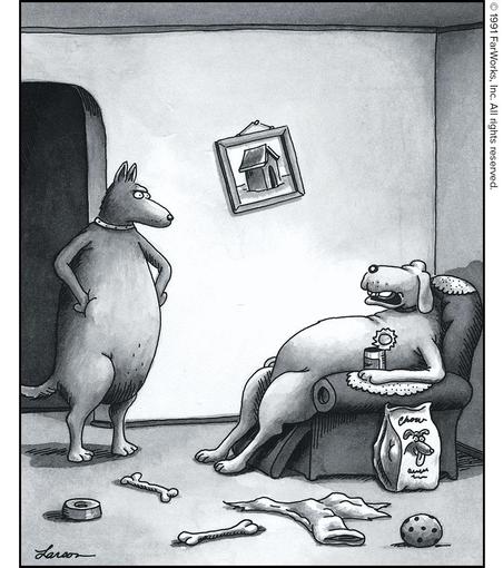 “Hey, look ... you knew when you married me that I was a nonworking breed.”