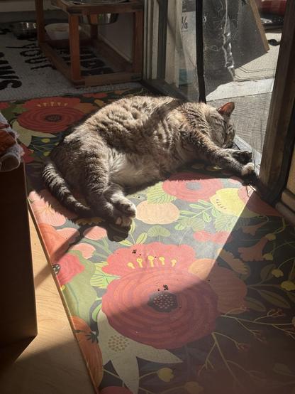 A tabby cat is sleeping on a colorful floral-patterned mat, basking in sunlight near an open door.