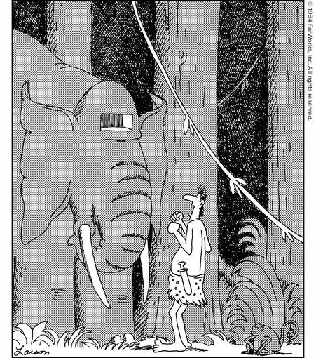 “Dang! The radio’s been ripped off again.”