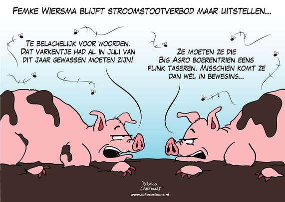De cartoon toont twee varkens in de modder die klagen over uitstel van een verbod op stroomstoten bij het drijven van vee. Bovenaan staat: “Femke Wiersma blijft stroomstootverbod maar uitstellen…”. Het linker varken zegt dat een big al in juli had moeten zijn “gewassen”, waarmee wordt gespot met bureaucratische vertraging. Het rechter varken stelt cynisch dat “Big Agro boerentrien” maar eens getaserd moeten worden zodat ze in beweging komen.

De tekenaar gebruikt de varkens als spreekbuis om de politieke besluiteloosheid en vermeende beïnvloeding door de landbouwsector te bekritiseren. De vliegjes en modder benadrukken een smerige, uitzichtloze situatie. De toon is sarcastisch en activistisch: het uitblijven van het verbod wordt neergezet als onzinnig en schadelijk, terwijl de verantwoordelijke politica wordt bespot via de dieren die onder het beleid lijden.