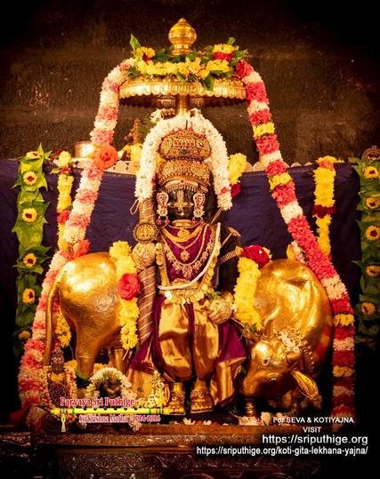 Idol of Hindu deity Krishna in red (broad bright gold border) standing with a staff in right hand, left hand on front left waist; wearing gold shoes, gold palm coverings, 2-level gold crown, and lots of gold ornaments including a necklace made of gold coins. A gilded cow behind Krishna with its head turned back low to gaze at Krishna's feet. A string of yellow flowers on the cow's back going around Krishna. A string of white flowers around Krishna ear-ear. A small gold umbrella over Krishna's head. A string of banded white and red flowers from the top of the umbrella flowing down to the floor on either side of Krishna. A string of green betel leaves (yellow flowers on leaves) on top of the umbrella. Dark blue background. A string of green betel leaves (yellow flowers on leaves) hangs down at each end of the background.