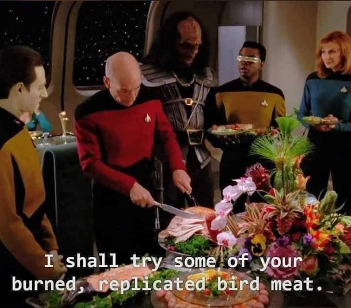 Captain Picard carving a turkey while Data, Geordi and Dr. Crusher look on. Worf’s Klingon brother Kern stares at the food with a disgusted look on his face. The caption reads “I shall try some of your burned, replicated bird meat.