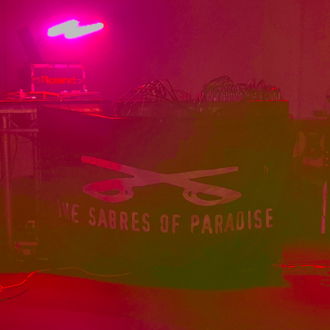 The Sabres of Paradise live 2025