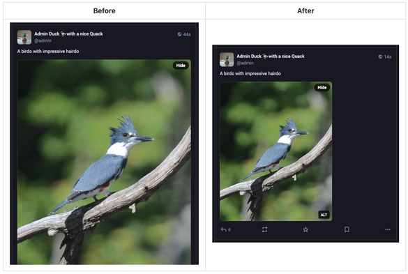 Before: image in the post is larger; after: image is smaller.