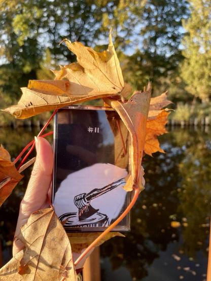 A hand holds a tape partially covered with yellow autumn leaves. The object features a graphic design of a gavel and the number "#11." In the background, a serene body of water and greenery can be seen, indicating a natural, outdoor setting.