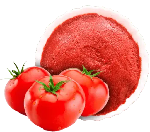 ketchup manufecturer
tomato ketchup
ketchup supplier
