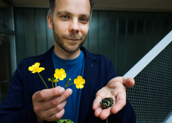 Casper van der Kooi with shiny buttercups and a glossy jewel beetle | Image Henk Veenstra