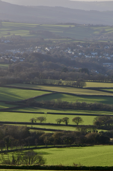 Green fields and hedges and a market town in the background.