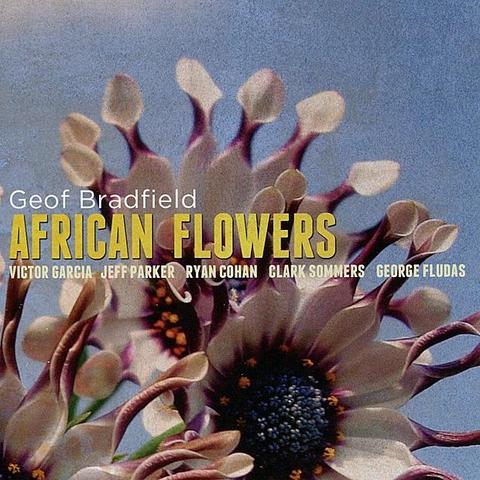 An image of the cover of the record album 'African Flowers' by Geof Bradfield