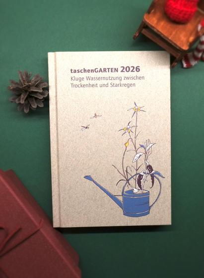 Foto des persönlichen Kalenders "Taschengarten 2026" mit dem Thema "Kluge Wassernutzung zwischen Trockenheit und Starkregen". Das Motiv des Covers ist eine blaue Gießkanne aus der eine gelb blühende Pflanze wächst, sowie einen Knoblauch und eine Chillipflanze mit 2 Schoten. Im Foto liegt der Kalender auf dunkelgrünem Untergrund umgeben von weihnachtlicher Dekoration ,wie z.B. einem Tannenzapfern und einem dunkelrotem Geschenkkarton.