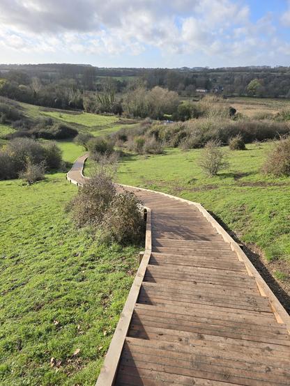 The new steps at St Catherine's Hill 