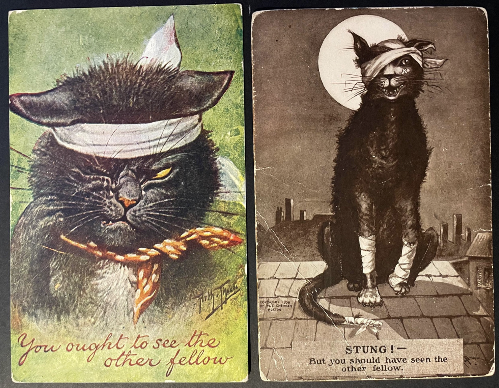 Two vintage postcards side by side. On the left a color illustration of black cat with a bandage around its head grimaces, “You ought to see the other fellow”. On the right a black and white illustration of a black cat with bandaged head, limbs and tail says “Stung! But you should have seen the other fellow”.