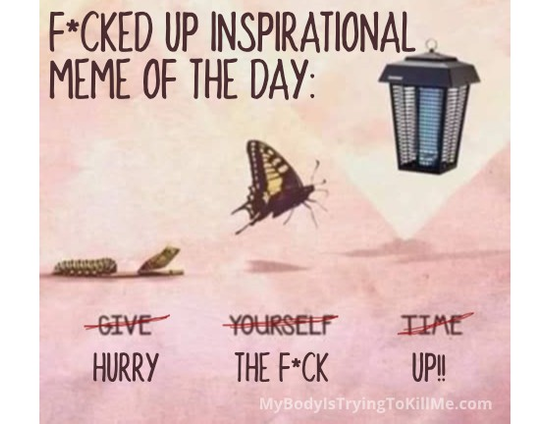 F*cked up inspirational meme of the day - pic of a caterpillar changing into a butterfly or moth and heading for one of those bug zappers - underneath it says 'give yourself time' and that is all crossed out and it says hurry the f*ck up!! - mybodyistryingtokillme.com 