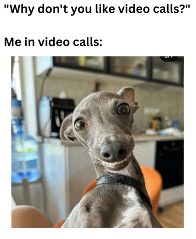 "Why don't you like video calls?"
Me in video calls: (Picture of a dog looking awkwardly at the screen)