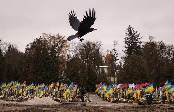 A crow flies over graves of the killed Ukrainian defenders.