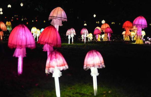 Pink lanterns in the shape of mushrooms.