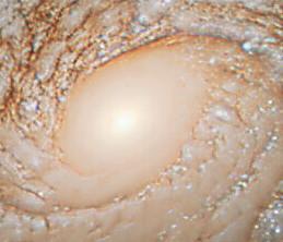 Just the center, an all white blob of light
NGC 772 (also known as Arp 78 or the Fiddlehead Galaxy) is a large unbarred spiral galaxy approximately 106 million light-years away in the constellation Aries. It was discovered by German-British astronomer William Herschel on 29 November 1785.