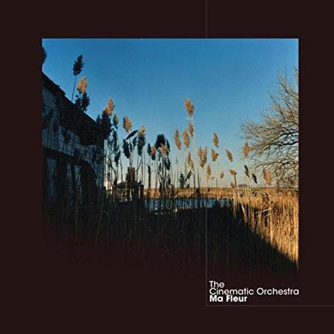 Cover: The Cinematic Orchestra - To Build a Home