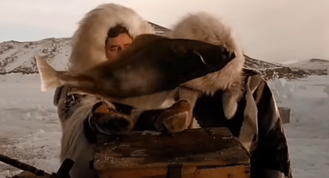 image from the movie