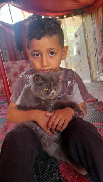 In the tent, Saji is sitting and holding Max the cat on his lap. Max is a grey Persian cat. Saji looks tired and thinner.