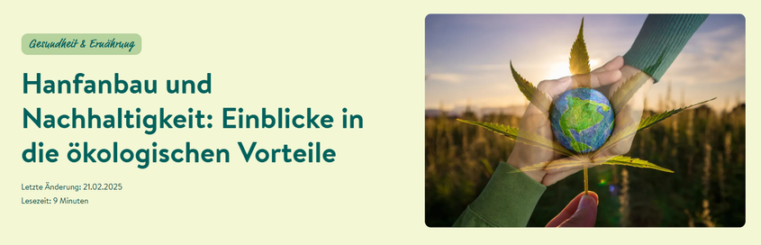 Nach einer längeren Vernachlässigung hat Hanf inzwischen eine Renaissance erlebt und wird derzeit in einer Vielzahl von Branchen und Produkten verwendet. Hanf wird oft als umweltfreundliche und ressourcenschonende Alternative zu verschiedenen Materialien angesehen. Darüber hinaus zeichnet sich diese Pflanze durch ihre Robustheit und ihre einfache Anbauweise aus. Hanf ist zusammen mit Bambus einer der am schnellsten wachsenden Rohstoffe auf unserem Planeten.

Obwohl die Verwendung von Hanf vielen Menschen als modern erscheinen mag, ist sie tatsächlich nicht neu. Bereits im Jahr 1455 wurde das erste gedruckte Exemplar der Gutenberg-Bibel auf Hanfpapier hergestellt. Es gibt auch archäologische Beweise dafür, dass Hanf vor mehr als 12.000 Jahren zur Herstellung von Papier und Textilien verwendet wurde. In diesem Artikel werden wir uns eingehend mit dieser beliebten Nutzpflanze befassen und unter anderem die tatsächliche Nachhaltigkeit des Hanfrohstoffs untersuchen.