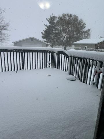 It's gray and snowy on the deck. We have about 4 inches so far. It's supposed to rain this afternoon and refreeze tonight, so Rosie and Susie will be ice skating tomorrow.