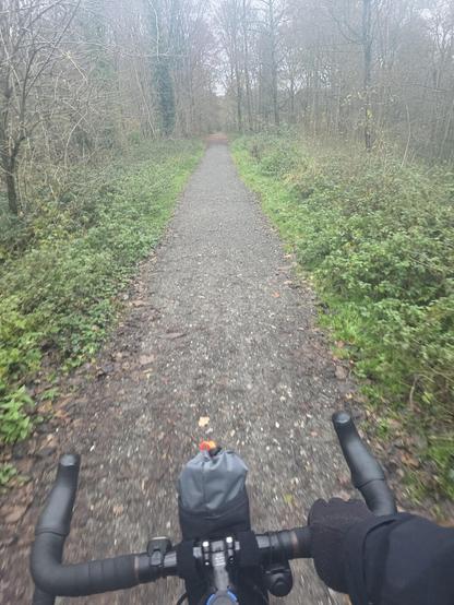 Une vue d'une piste forestière. La piste est faite de gravier et de terre et est bordée d'herbe et de végétation de chaque côté. Il y a des arbres des deux côtés de la piste, leurs branches se rejoignant au-dessus. Au premier plan, on voit le guidon d'un vélo avec une main gantée et un sac gris attaché au centre. La scène est floue, suggérant un mouvement.