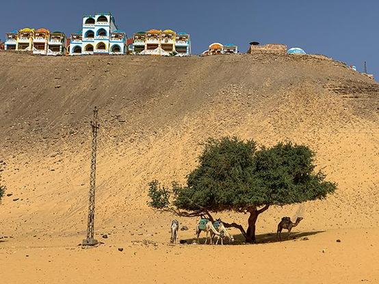 Pittoreskes nubisches Dorf auf einer Anhöhe am Westufer des Nils bei Assuan.