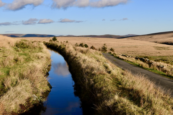Devonport leat 