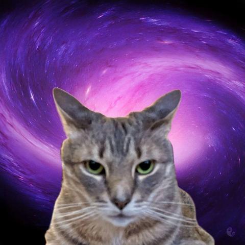 A photo illustration has a background of a swirling purple vortex in deep space all super imposed on the front is the intent face and angular face of a gray tabby cat with ears, focused outward and curved into a smile while his green gold eyes stare into the lips