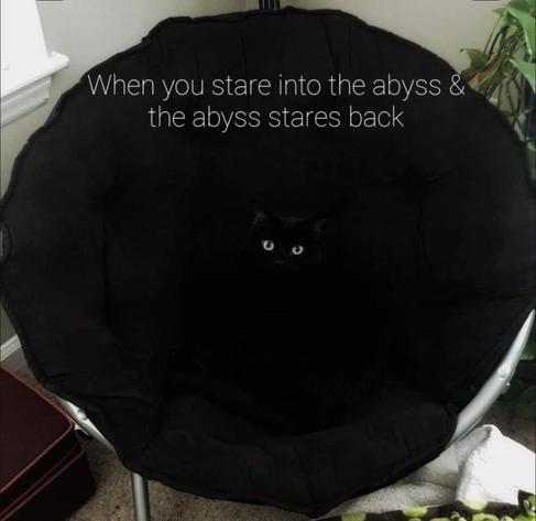 Round large black chair,seemingly with eyes in the center. Text reads "when you stare into the abyss and the abyss stares back" (it's a black cat)