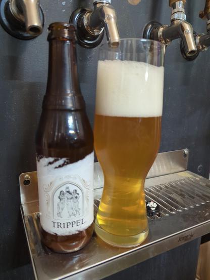 A bottle with a partially peeled off label stands next to a glass full of clear yellow beer on a drip tray. There's about three fingers of head on the beer