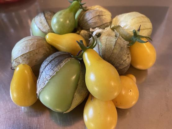A pile of green globes with green and purple husks and yellow pear shaped tomatoes resting on a steel table