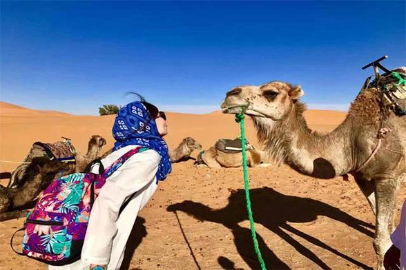 Camel ride
