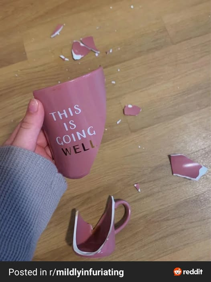 a woman holding a broken mug that says this is going well! - posted in r/mildlyinfuriating on reddit