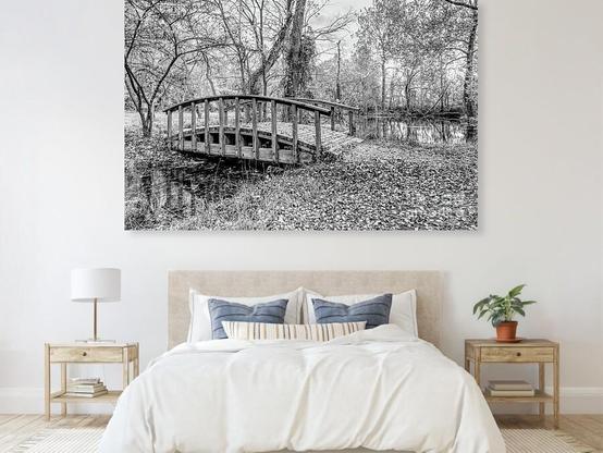 A black and white photo of a small wooden walkway bridge crossing over a natural creek at The Sarcoxie Cave and Spring Natural Grounds in Sarcoxie, Missouri
@fineartamerica 
https://5-jennifer-white.pixels.com/featured/wooden-bridge-sarcoxie-spring-grayscale-jennifer-white.html
#buyintoart #photography #fineart